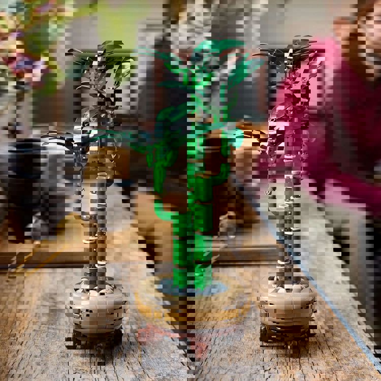 LEGO Botanicals Şans Bambusu 10344 – Yetişkin Kadın ve Erkekler için Bambu Sapları, Çakıl Taşları ve Ahşap Efektli Saksı İçeren Dekoratif Bitki Seti, Ev ve Ofis Dekorasyonu Hediye Fikri (325 Parça)