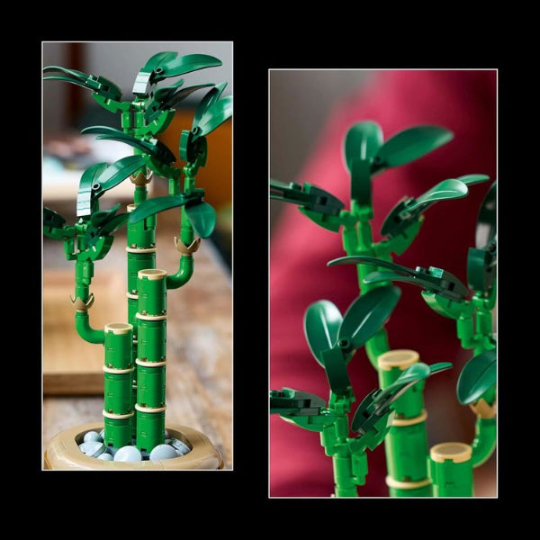 LEGO Botanicals Şans Bambusu 10344 – Yetişkin Kadın ve Erkekler için Bambu Sapları, Çakıl Taşları ve Ahşap Efektli Saksı İçeren Dekoratif Bitki Seti, Ev ve Ofis Dekorasyonu Hediye Fikri (325 Parça)